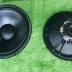Loa Bass 40 từ Neo Coil 75 8 Ohm 