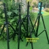 Chân loa chiều cao 1m6 - 1m8 (1 cây)