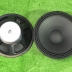 LOA BASS 40cm coil 65 từ 170